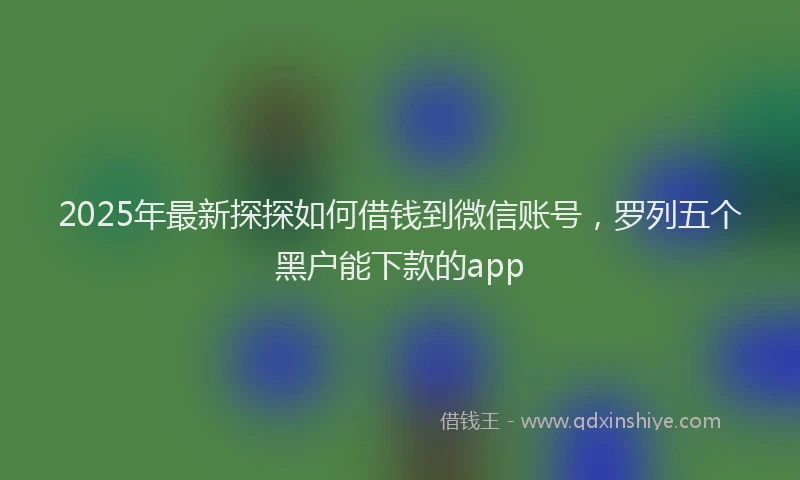 2025年最新探探如何借钱到微信账号，罗列五个黑户能下款的app