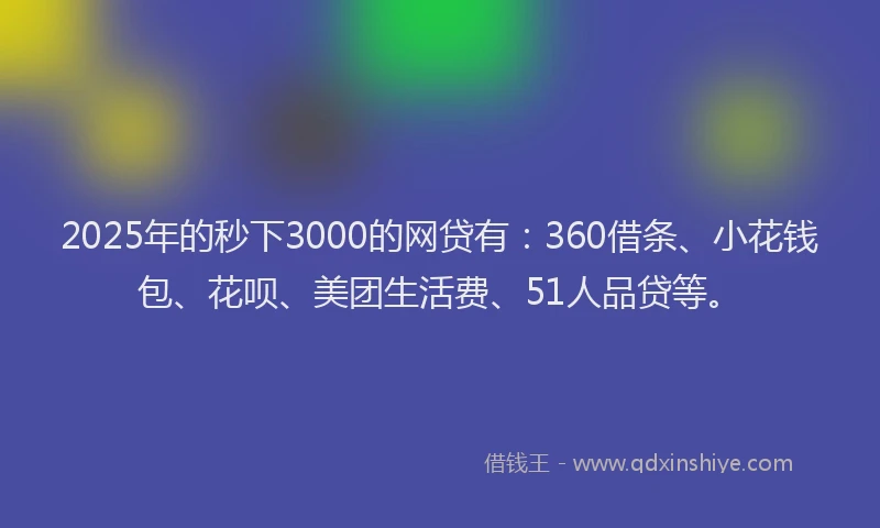 2025年的秒下3000的网贷有：360借条、小花钱包、花呗、美团生活费、51人品贷等。