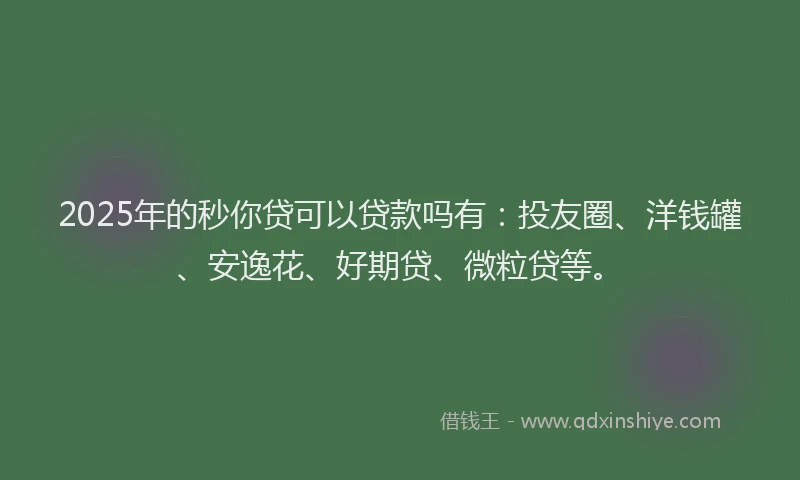 2025年的秒你贷可以贷款吗有：投友圈、洋钱罐、安逸花、好期贷、微粒贷等。