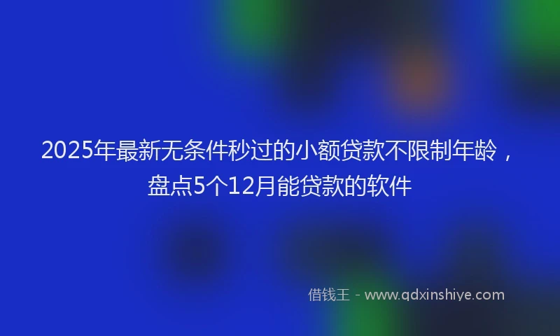 2025年最新无条件秒过的小额贷款不限制年龄，盘点5个12月能贷款的软件