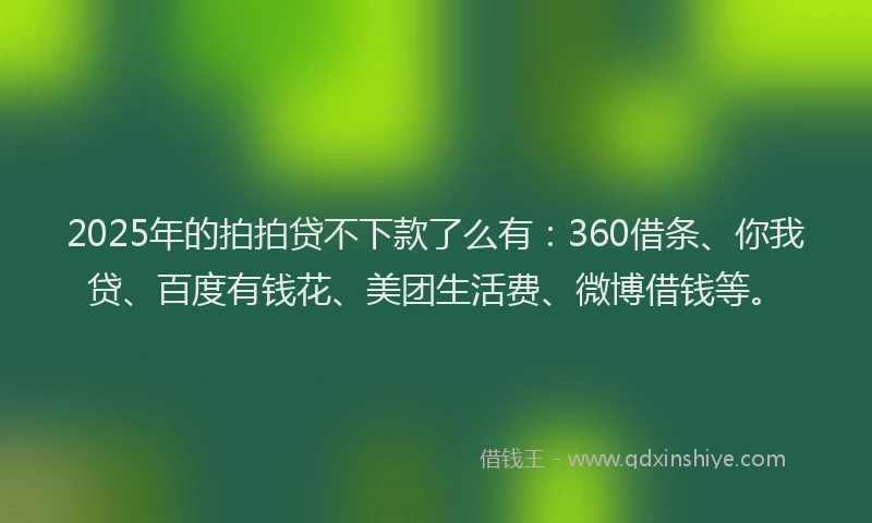 2025年的拍拍贷不下款了么有：360借条、你我贷、百度有钱花、美团生活费、微博借钱等。