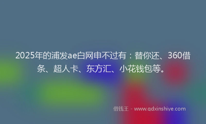 2025年的浦发ae白网申不过有：替你还、360借条、超人卡、东方汇、小花钱包等。