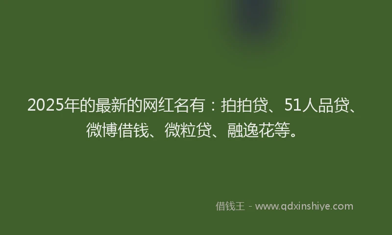 2025年的最新的网红名有：拍拍贷、51人品贷、微博借钱、微粒贷、融逸花等。