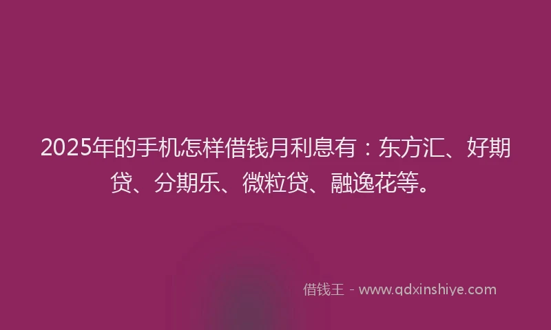 2025年的手机怎样借钱月利息有：东方汇、好期贷、分期乐、微粒贷、融逸花等。