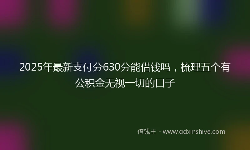 2025年最新支付分630分能借钱吗，梳理五个有公积金无视一切的口子