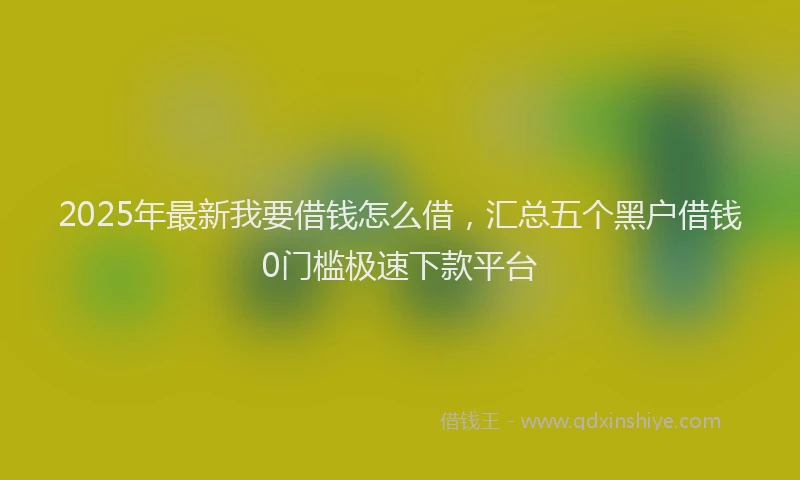2025年最新我要借钱怎么借，汇总五个黑户借钱0门槛极速下款平台