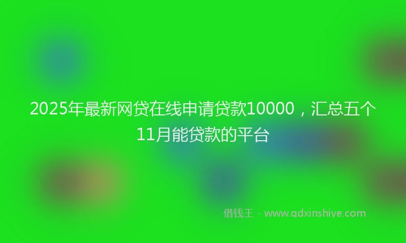 2025年最新网贷在线申请贷款10000，汇总五个11月能贷款的平台
