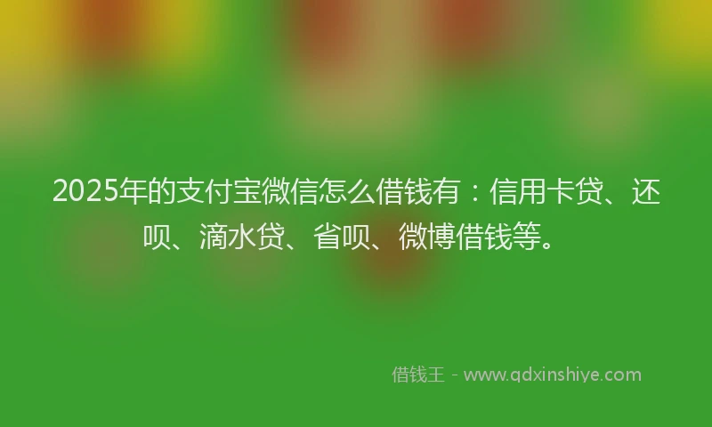 2025年的支付宝微信怎么借钱有：信用卡贷、还呗、滴水贷、省呗、微博借钱等。
