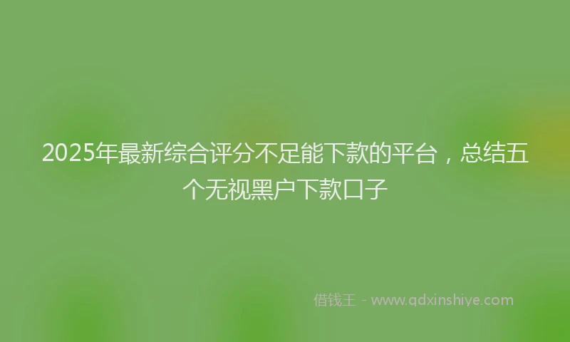 2025年最新综合评分不足能下款的平台，总结五个无视黑户下款口子