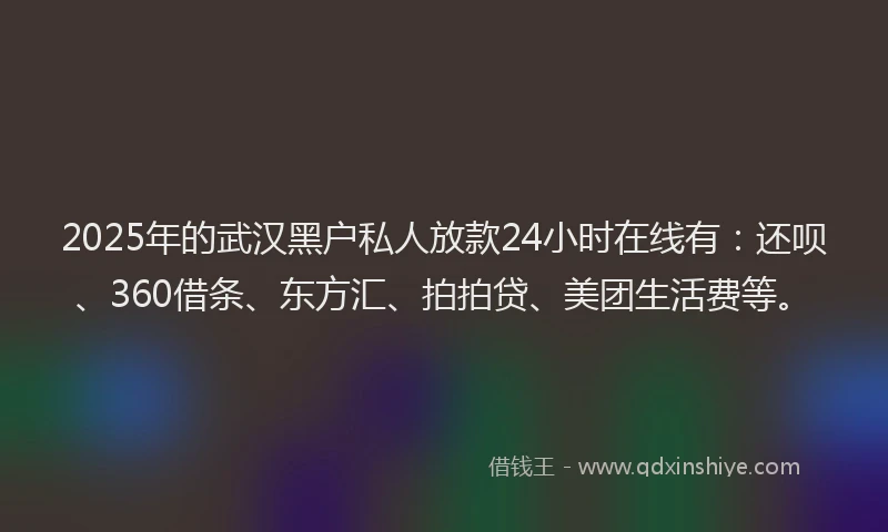 2025年的武汉黑户私人放款24小时在线有：还呗、360借条、东方汇、拍拍贷、美团生活费等。
