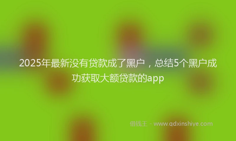 2025年最新没有贷款成了黑户，总结5个黑户成功获取大额贷款的app