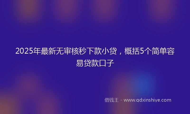 2025年最新无审核秒下款小贷，概括5个简单容易贷款口子