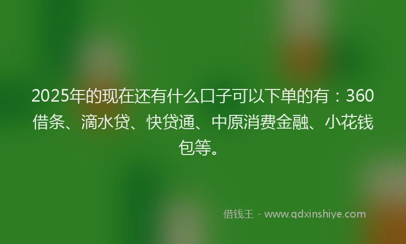 2025年的现在还有什么口子可以下单的有：360借条、滴水贷、快贷通、中原消费金融、小花钱包等。
