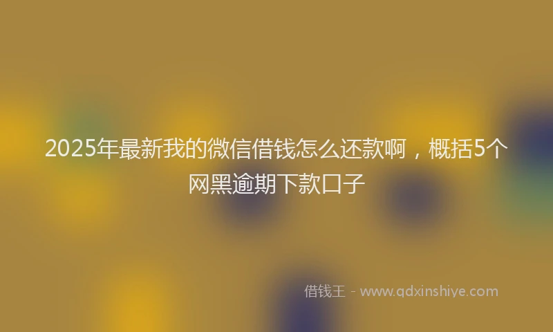2025年最新我的微信借钱怎么还款啊，概括5个网黑逾期下款口子