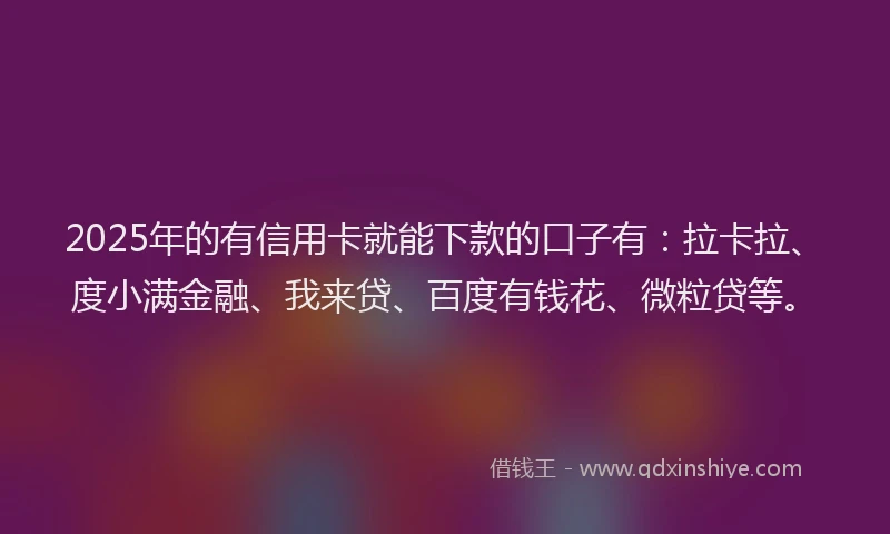 2025年的有信用卡就能下款的口子有：拉卡拉、度小满金融、我来贷、百度有钱花、微粒贷等。
