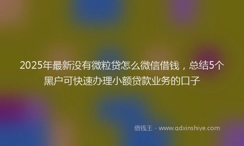 2025年最新没有微粒贷怎么微信借钱，总结5个黑户可快速办理小额贷款业务的口子