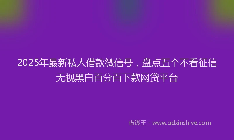 2025年最新私人借款微信号，盘点五个不看征信无视黑白百分百下款网贷平台