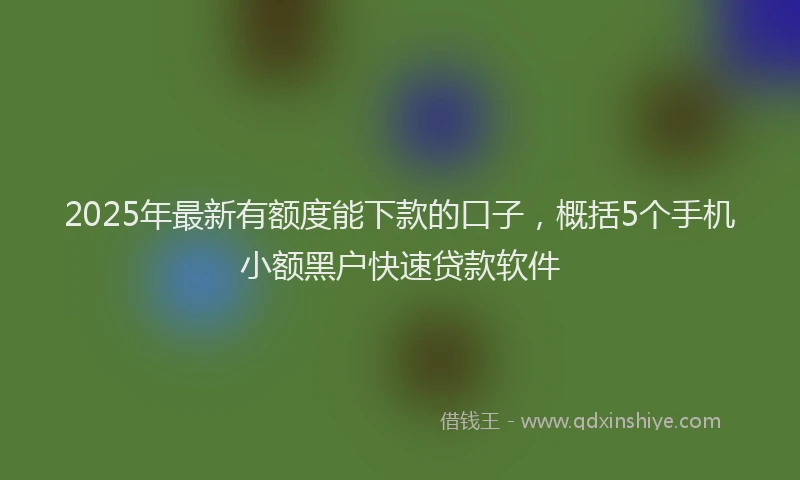 2025年最新有额度能下款的口子，概括5个手机小额黑户快速贷款软件