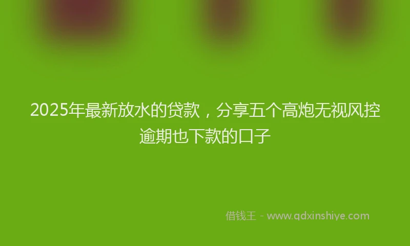 2025年最新放水的贷款，分享五个高炮无视风控逾期也下款的口子