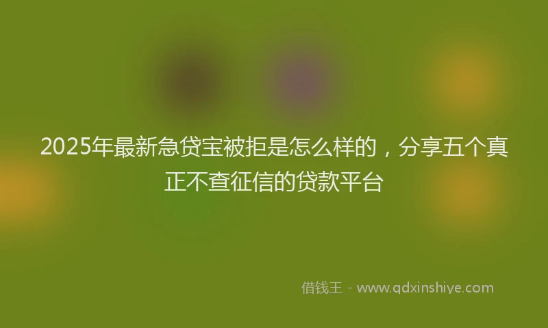 2025年最新急贷宝被拒是怎么样的，分享五个真正不查征信的贷款平台
