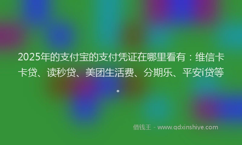 2025年的支付宝的支付凭证在哪里看有：维信卡卡贷、读秒贷、美团生活费、分期乐、平安i贷等。