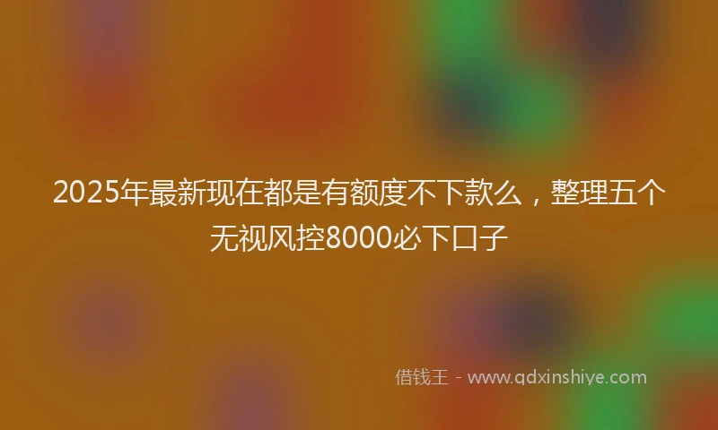 2025年最新现在都是有额度不下款么，整理五个无视风控8000必下口子