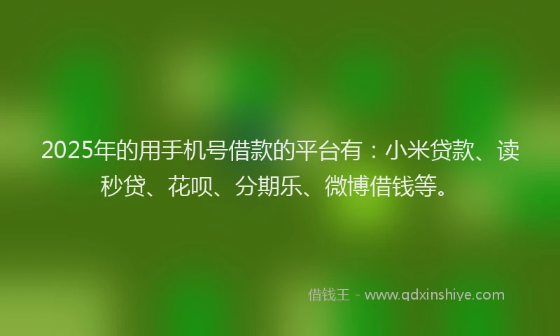 2025年的用手机号借款的平台有：小米贷款、读秒贷、花呗、分期乐、微博借钱等。