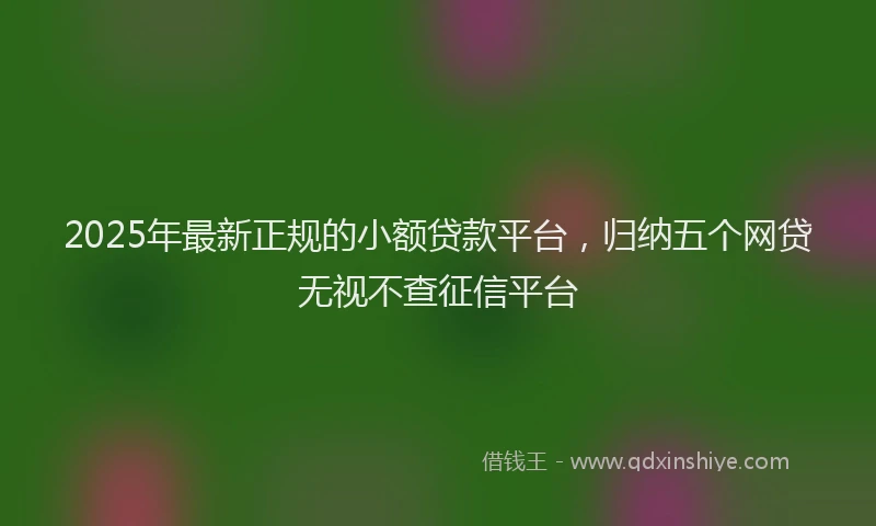 2025年最新正规的小额贷款平台，归纳五个网贷无视不查征信平台