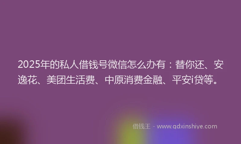 2025年的私人借钱号微信怎么办有：替你还、安逸花、美团生活费、中原消费金融、平安i贷等。