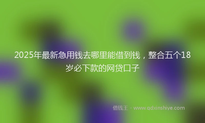 2025年最新急用钱去哪里能借到钱，整合五个18岁必下款的网贷口子