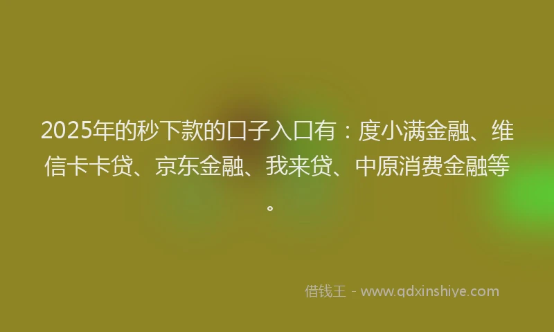 2025年的秒下款的口子入口有：度小满金融、维信卡卡贷、京东金融、我来贷、中原消费金融等。