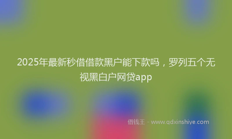 2025年最新秒借借款黑户能下款吗，罗列五个无视黑白户网贷app