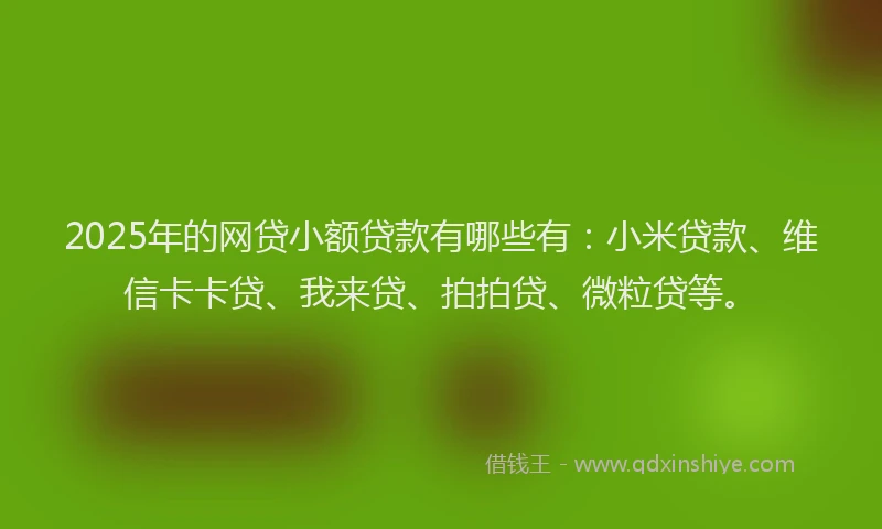 2025年的网贷小额贷款有哪些有:小米贷款、维信卡卡贷、我来贷、拍拍贷、微粒贷等。