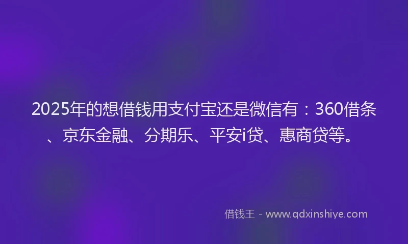 2025年的想借钱用支付宝还是微信有：360借条、京东金融、分期乐、平安i贷、惠商贷等。