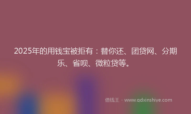 2025年的用钱宝被拒有：替你还、团贷网、分期乐、省呗、微粒贷等。