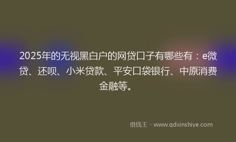 2025年的无视黑白户的网贷口子有哪些有：e微贷、还呗、小米贷款、平安口袋银行、中原消费金融等。