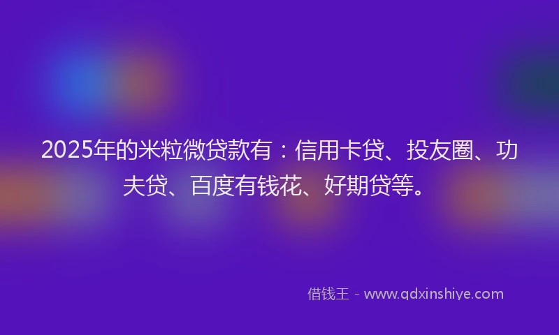 2025年的米粒微贷款有：信用卡贷、投友圈、功夫贷、百度有钱花、好期贷等。