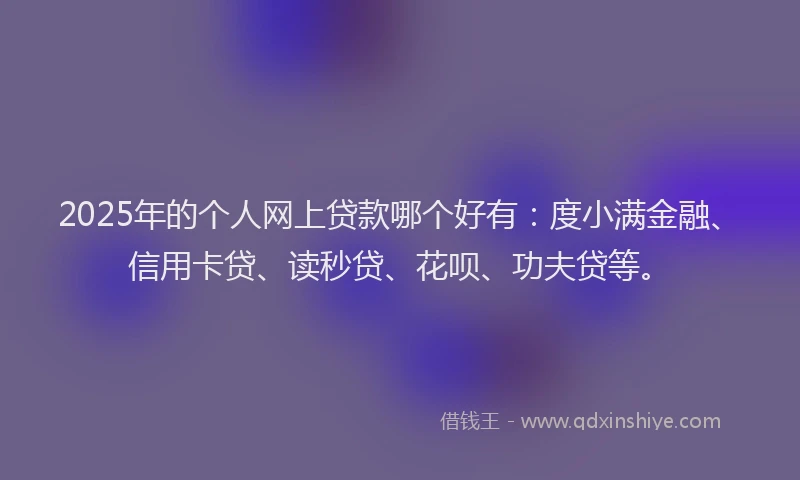 2025年的个人网上贷款哪个好有：度小满金融、信用卡贷、读秒贷、花呗、功夫贷等。