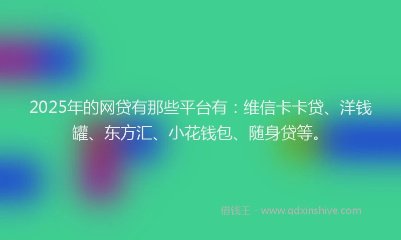 2025年的网贷有那些平台有：维信卡卡贷、洋钱罐、东方汇、小花钱包、随身贷等。