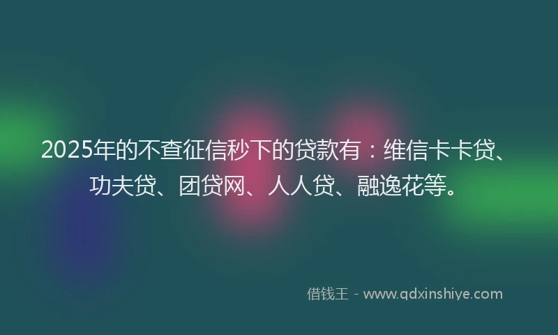 2025年的不查征信秒下的贷款有：维信卡卡贷、功夫贷、团贷网、人人贷、融逸花等。