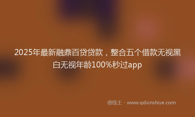 2025年最新融鼎百贷贷款，整合五个借款无视黑白无视年龄100%秒过app