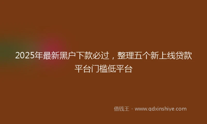 2025年最新黑户下款必过，整理五个新上线贷款平台门槛低平台