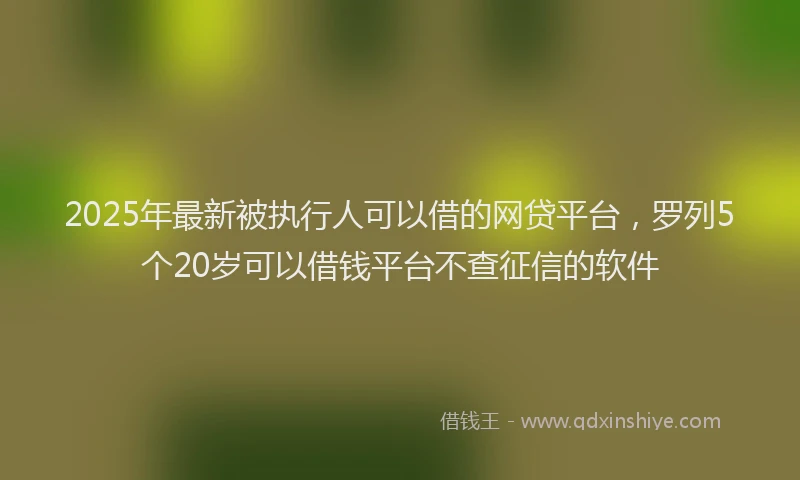 2025年最新被执行人可以借的网贷平台，罗列5个20岁可以借钱平台不查征信的软件