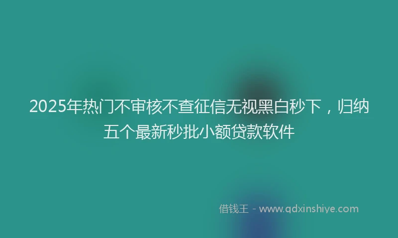 2025年热门不审核不查征信无视黑白秒下，归纳五个最新秒批小额贷款软件
