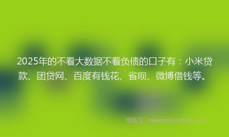 2025年的不看大数据不看负债的口子有：小米贷款、团贷网、百度有钱花、省呗、微博借钱等。