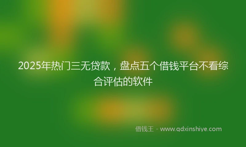 2025年热门三无贷款，盘点五个借钱平台不看综合评估的软件