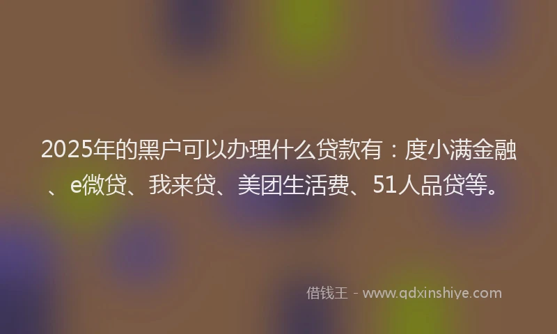 2025年的黑户可以办理什么贷款有：度小满金融、e微贷、我来贷、美团生活费、51人品贷等。