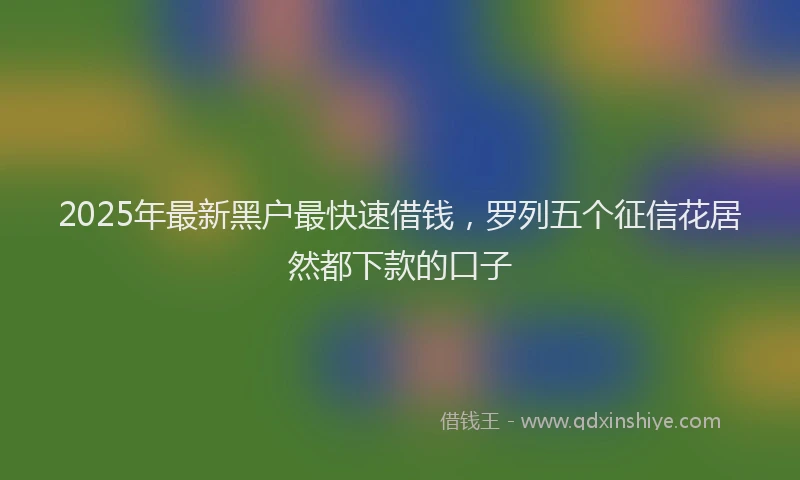 2025年最新黑户最快速借钱，罗列五个征信花居然都下款的口子