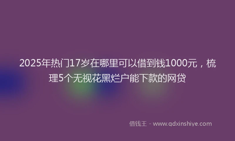 2025年热门17岁在哪里可以借到钱1000元，梳理5个无视花黑烂户能下款的网贷