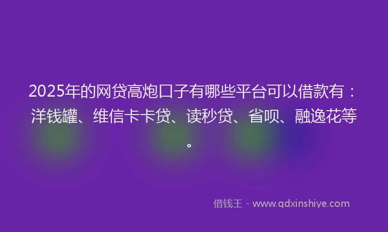 2025年的网贷高炮口子有哪些平台可以借款有：洋钱罐、维信卡卡贷、读秒贷、省呗、融逸花等。